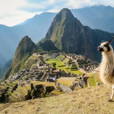 Machu-Picchu-te llama